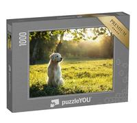 puzzleYOU : Puzzle de 1000 pièces « Golden Retriever dans la lumière du Soir en été »