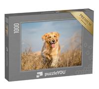 puzzleYOU : Puzzle de 1000 pièces « Golden Retriever en Pleine Nature »