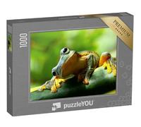 puzzleYOU : Puzzle de 1000 pièces « Grenouille curieuse »