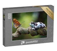 puzzleYOU : Puzzle de 1000 pièces « Grenouille de Lait d'Amazonie, Face à Face avec Un Papillon »