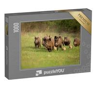 puzzleYOU : Puzzle de 1000 pièces « Groupe de sangliers au Printemps »