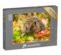 puzzleYOU : Puzzle de 1000 pièces « Hérisson et amanite Tue-Mouches »