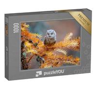 puzzleYOU : Puzzle de 1000 pièces « Hibou Petit-duc, Otus scops, Une Chouette typique »