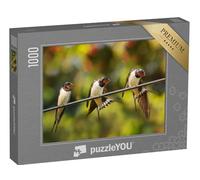 puzzleYOU : Puzzle de 1000 pièces « Hirondelles de Village en Train de Nettoyer Leur Plumage »