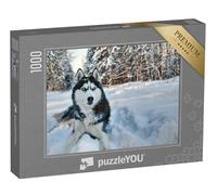 puzzleYOU : Puzzle de 1000 pièces « Husky dans la Neige »
