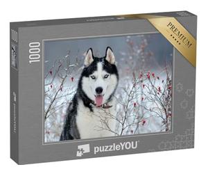 puzzleYOU : Puzzle de 1000 pièces « Husky sibérien aux Yeux Bleus en Hiver »