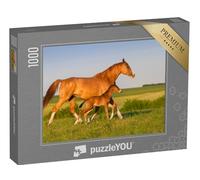 puzzleYOU : Puzzle de 1000 pièces « Jument et Poulain au Lever du Soleil »
