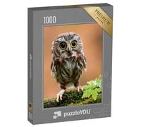 puzzleYOU : Puzzle de 1000 pièces « L'adorable bébé Hibou »