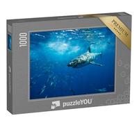 puzzleYOU : Puzzle de 1000 pièces « Majestueux Grand Requin Blanc, île de Guadalupe, Mexique »