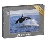 puzzleYOU : Puzzle de 1000 pièces « Orque, Orcinus Orca, en Train de Sauter Hors de l'eau »