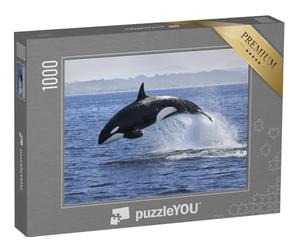 puzzleYOU : Puzzle de 1000 pièces « Orque, Orcinus Orca, en Train de Sauter Hors de l'eau »