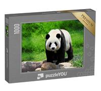 puzzleYOU : Puzzle de 1000 pièces « Panda »