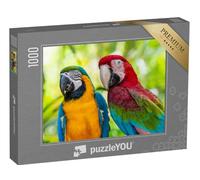 puzzleYOU : Puzzle de 1000 pièces « Perroquet, aras »