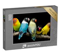 puzzleYOU : Puzzle de 1000 pièces « Perroquet aux Couleurs Magnifiques »
