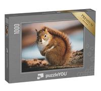 puzzleYOU : Puzzle de 1000 pièces « Petit écureuil dans la forêt »
