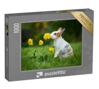 puzzleYOU : Puzzle de 1000 pièces « Petit Lapin Curieux »