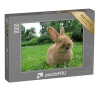 puzzleYOU : Puzzle de 1000 pièces « Petit Lapin Qui bâille »