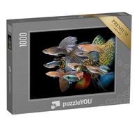puzzleYOU : Puzzle de 1000 pièces « Poissons Guppy Multicolores »