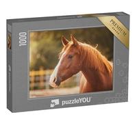 puzzleYOU : Puzzle de 1000 pièces « Portrait d'un Cheval dans la lumière du Soir »