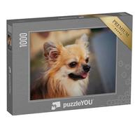 puzzleYOU : Puzzle de 1000 pièces « Portrait d'un Chihuahua à Poils Longs en Plein air »