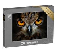 puzzleYOU : Puzzle de 1000 pièces « Portrait d'une Chouette »