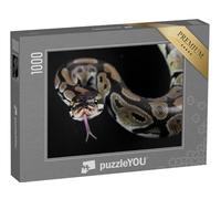 puzzleYOU : Puzzle de 1000 pièces « Serpent Python à la Langue tirée »