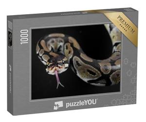 puzzleYOU : Puzzle de 1000 pièces « Serpent Python à la Langue tirée »