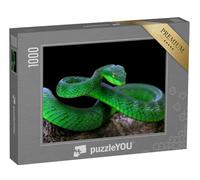 puzzleYOU : Puzzle de 1000 pièces « Serpent Vert albolaris »