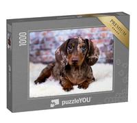 puzzleYOU : Puzzle de 1000 pièces « Teckel »