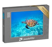 puzzleYOU : Puzzle de 1000 pièces « Tortue de mer Verte dans l'eau de mer Peu Profonde »