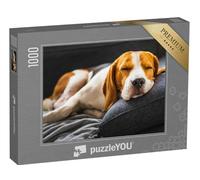 puzzleYOU : Puzzle de 1000 pièces « Un Beagle sur Le canapé »