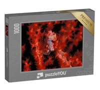 puzzleYOU : Puzzle de 1000 pièces « Un Hippocampe pygmée Rouge Vif »