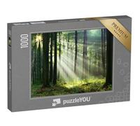 puzzleYOU : Puzzle de 1000 pièces « Un Matin dans la forêt avec Les Premiers Rayons de Soleil »