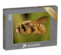 puzzleYOU : Puzzle de 1000 pièces « Une Abeille Volante »