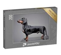 puzzleYOU : Puzzle de 200 pièces « Adorable Teckel »