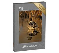 puzzleYOU : Puzzle de 200 pièces « Canard pilet dans la lumière dorée avec des roseaux en arrière-Plan »