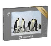 puzzleYOU : Puzzle de 200 pièces « Colonie de manchots empereurs avec Jeunes en Antarctique »