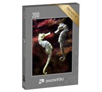 puzzleYOU : Puzzle de 200 pièces « Couple d'hippocampes à Long museau Amoureux »