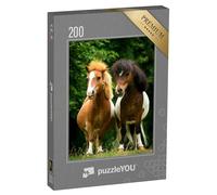 puzzleYOU : Puzzle de 200 pièces « Deux Petits poneys de Peinture au pâturage »