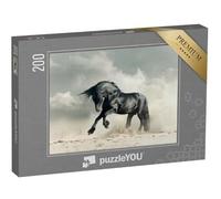 puzzleYOU : Puzzle de 200 pièces « Étalon Noir Sauvage dans Le désert »