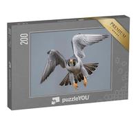 puzzleYOU : Puzzle de 200 pièces « Faucon pèlerin en vol »