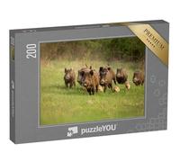 puzzleYOU : Puzzle de 200 pièces « Groupe de sangliers au Printemps »