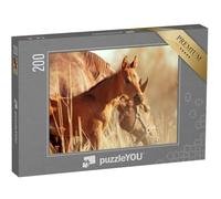 puzzleYOU : Puzzle de 200 pièces « Jument et Poulain au Coucher du Soleil »