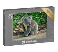 puzzleYOU : Puzzle de 200 pièces « Koala Curieux, Assis sur Le Sol »