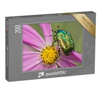 puzzleYOU : Puzzle de 200 pièces « Magnifique cétoine dorée sur Une Fleur Rose-Jaune »