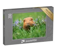puzzleYOU : Puzzle de 200 pièces « Mignon Cochon d'Inde dans l'herbe »