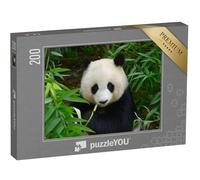 puzzleYOU : Puzzle de 200 pièces « Panda géant dans Les bambous, Chengdu, Chine »