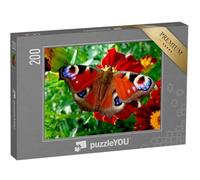 puzzleYOU : Puzzle de 200 pièces « Paon du Jour sur Une Fleur Rouge »