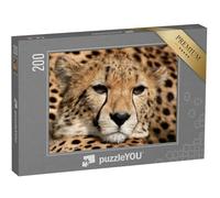 puzzleYOU : Puzzle de 200 pièces « Portrait d'un guépard »