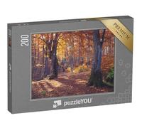 puzzleYOU : Puzzle de 200 pièces « Scène de Nature : forêt automnale avec Rayons de Soleil »
